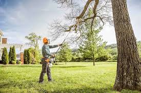 How Our Tree Care Process Works  in  Philmont, NY